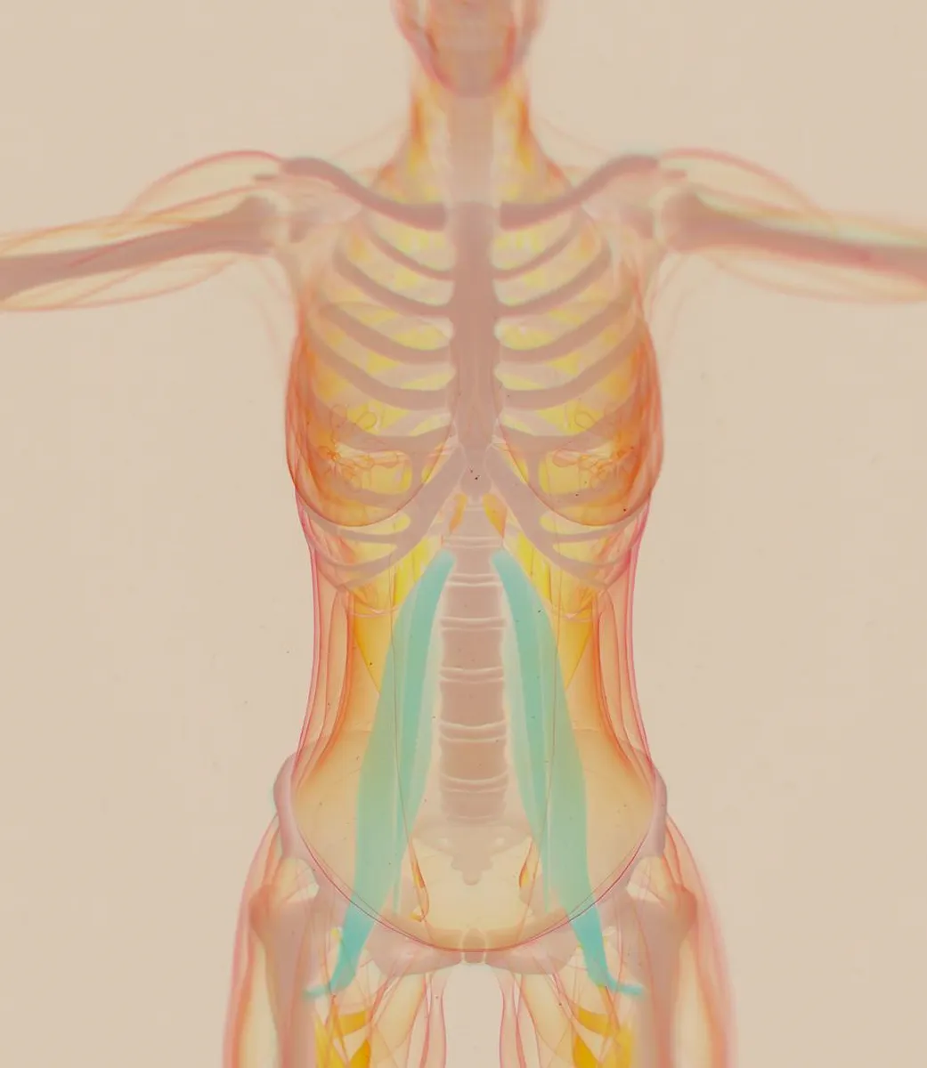 Vrouw ontvangt psoas massage voor diepe ontspanning