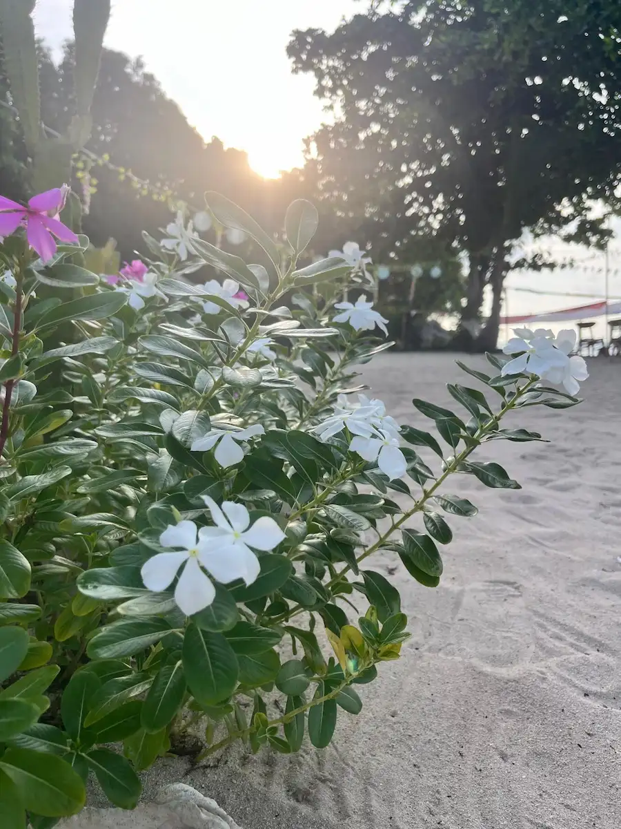 Sarah tijdens een therapeutische sessie